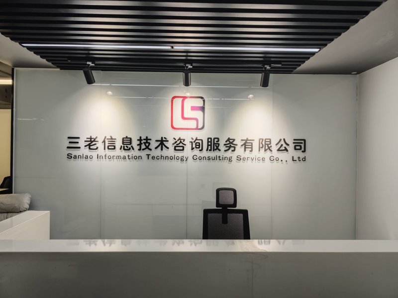 信息技术咨询：智慧引领未来